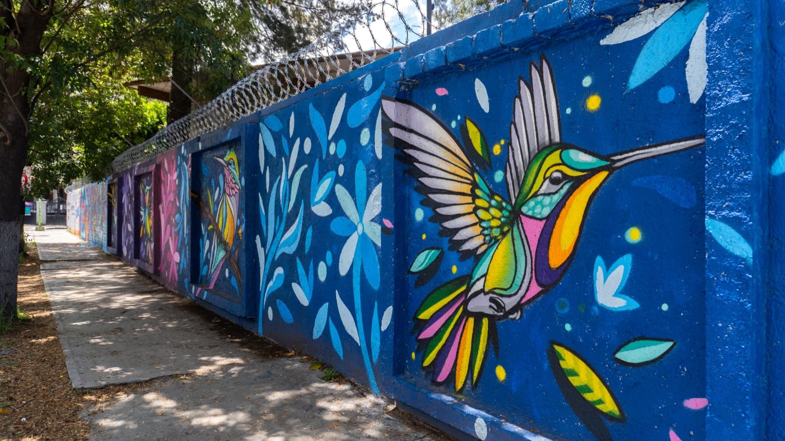 Color para la comunidad, Secundaria General 2: fotografía 2